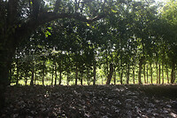 IMG_6895