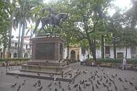 IMG_6976
