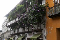 IMG_6986
