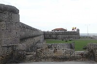 IMG_7020