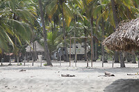 IMG_7290