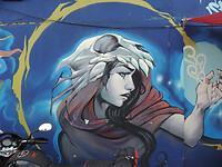 DSCN6881