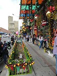 DSCN6975