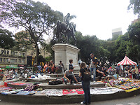 DSCN7151