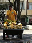 DSCN7217