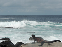 DSCN7744