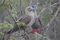 IMG_3705