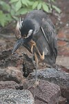 IMG_3739