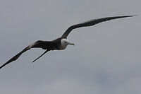 IMG_3878