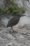 IMG_4051