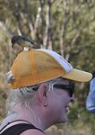 IMG_4215