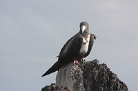 IMG_4278