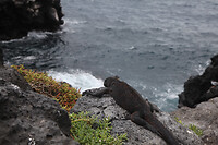 IMG_8066