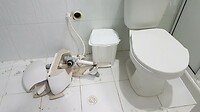 20190303_081559