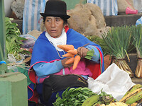 DSCN8165