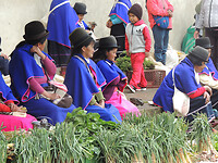 DSCN8197