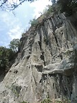 DSCN8488