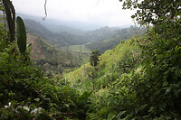 IMG_8285