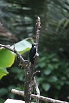 IMG_8329