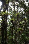 IMG_8540