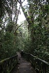 IMG_8554