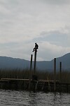 IMG_8567