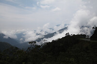 IMG_8602