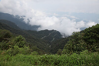 IMG_8603