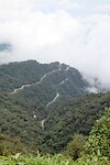 IMG_8604