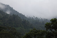 IMG_8611