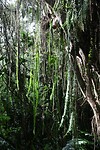 IMG_8648