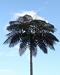 IMG_8702