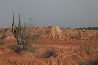 IMG_8759
