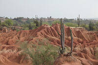 IMG_8760