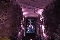 IMG_8828