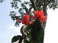 DSCN8623