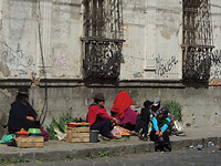 DSCN8716