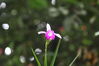 IMG_9408