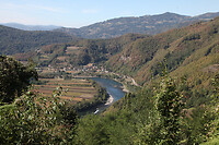 IMG_5324
