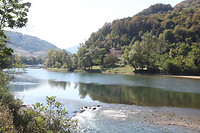 IMG_5329