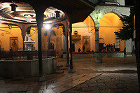 IMG_5447