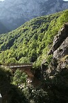 IMG_5571