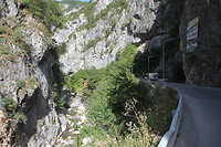 IMG_5574