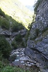 IMG_5576