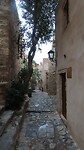 IMG_0293