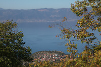 IMG_5712