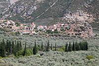 IMG_5868