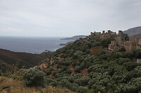 IMG_6142