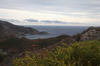 IMG_6167