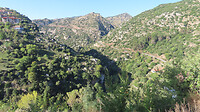 IMG_0378